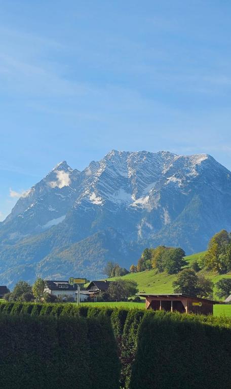 a mountain in the distance with a farm and a house at Ferienhaus - Hoamathaus in Aigen im Ennstal