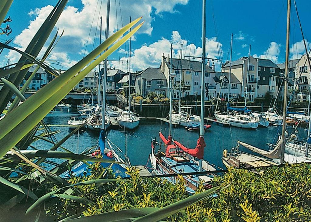 a bunch of boats are docked in a harbor at Spinnakers in Falmouth
