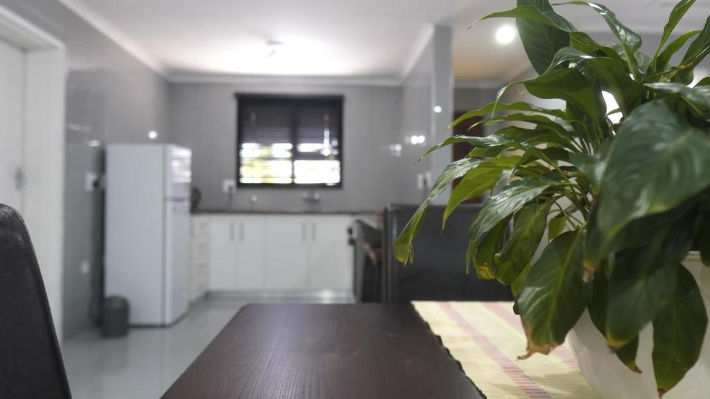 a plant sitting on top of a wooden table at Halaal Serenity 3bedroom 6sleeper in Cape Town