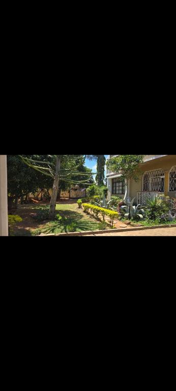 Aed väljaspool majutusasutust Lilote Magoanine