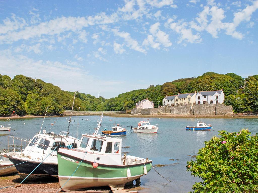un grupo de barcos atracados en un cuerpo de agua en Woodpecker-Qc1186, en Milford Haven