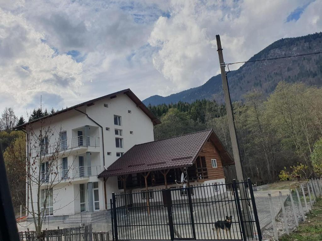 Een algemene foto van de bergen of uitzicht op de bergen vanuit de homestay