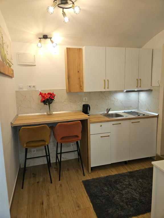 Apartment Maja - Strict center of Zagreb - 2