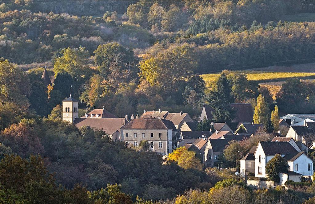 een stad op een heuvel met huizen en bomen bij Sur Les Roches in Dracy-lès-Couches