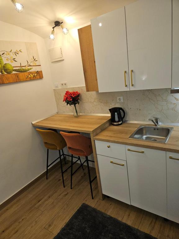 Apartment Maja - Strict center of Zagreb - 1