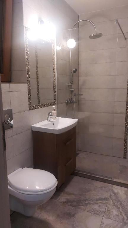 ein Badezimmer mit Toilette, Waschbecken und Dusche in der Unterkunft Casa cu gradina in Văleni