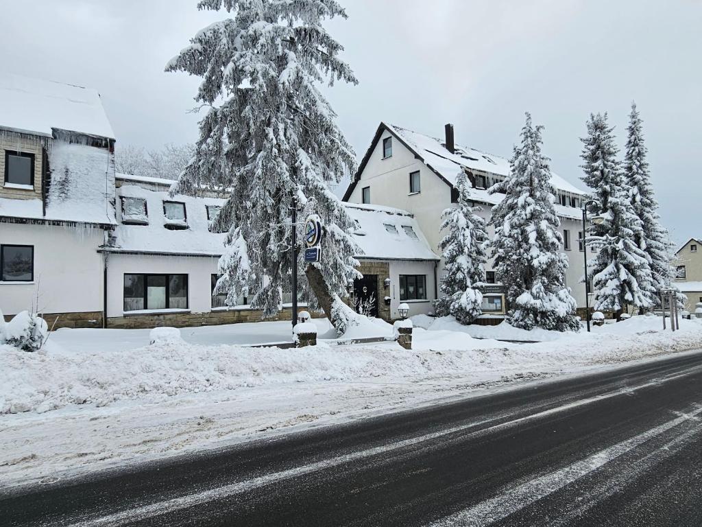 una calle con árboles cubiertos de nieve y una casa en Familien-Hotel Am Tränkbachtal Frauenwald, en Frauenwald