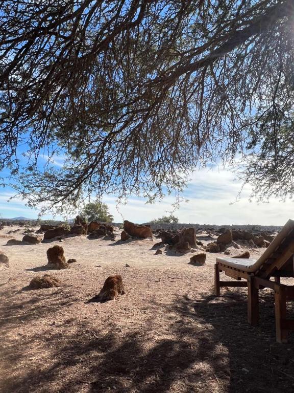 El Huarango Eco Lodge