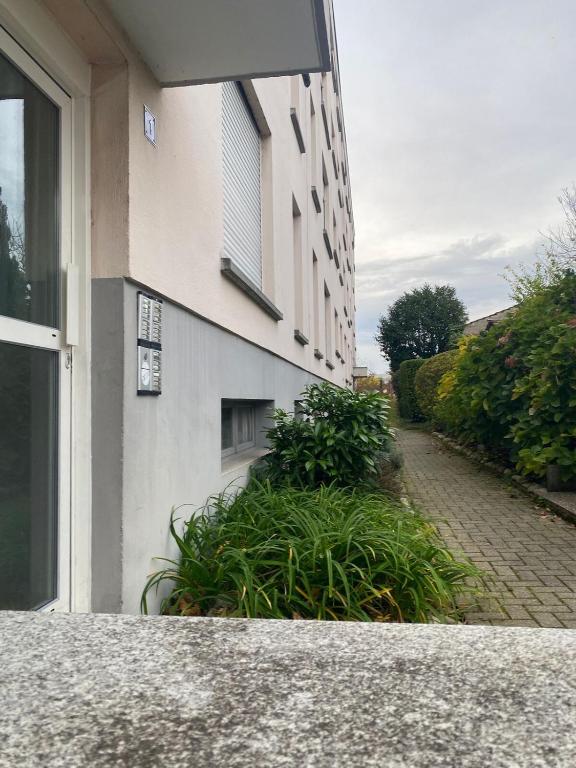 Cozy apartment near Basel Airport – photo 13