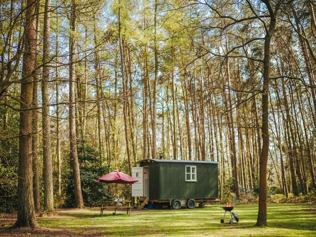 a tiny house in the middle of a forest at Honeysuckle Hut-Qu7066 in Melton Constable