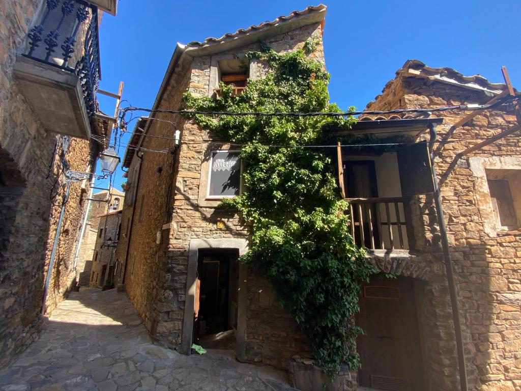 an old stone building with ivy growing on it at Casa Narcís in Claverol