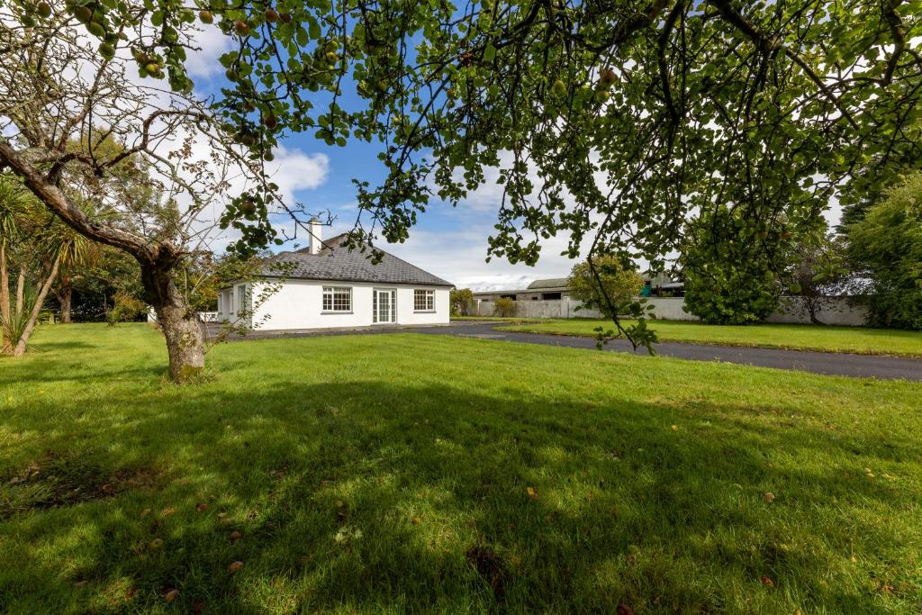 a white house with a tree in the yard at Ballyneill Farmhouse in Carrick-on-Suir