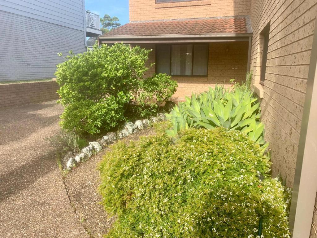 a yard with bushes and plants in front of a house at Seascape Carroll Avenue - close to Mollymook Beach in Mollymook