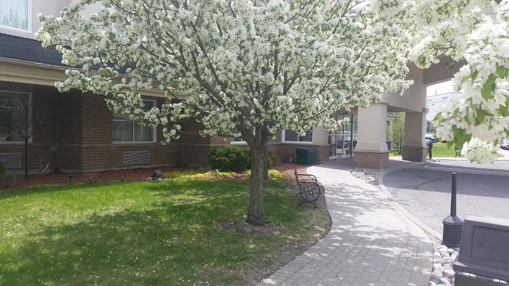 Days Inn by Wyndham Ottawa Airport - Resim 34