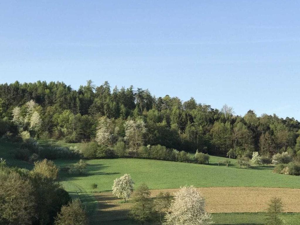 a large green field in front of a mountain at Spessart Romanticism in Blankenbach