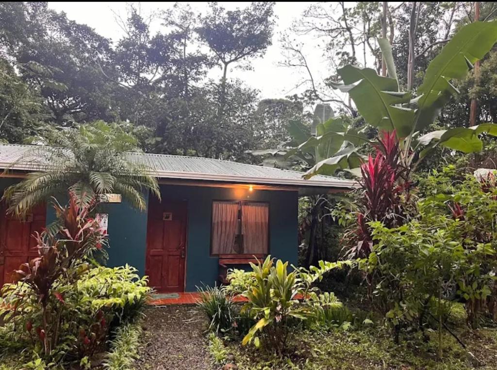 Zahrada ubytování Finca Verde Lodge