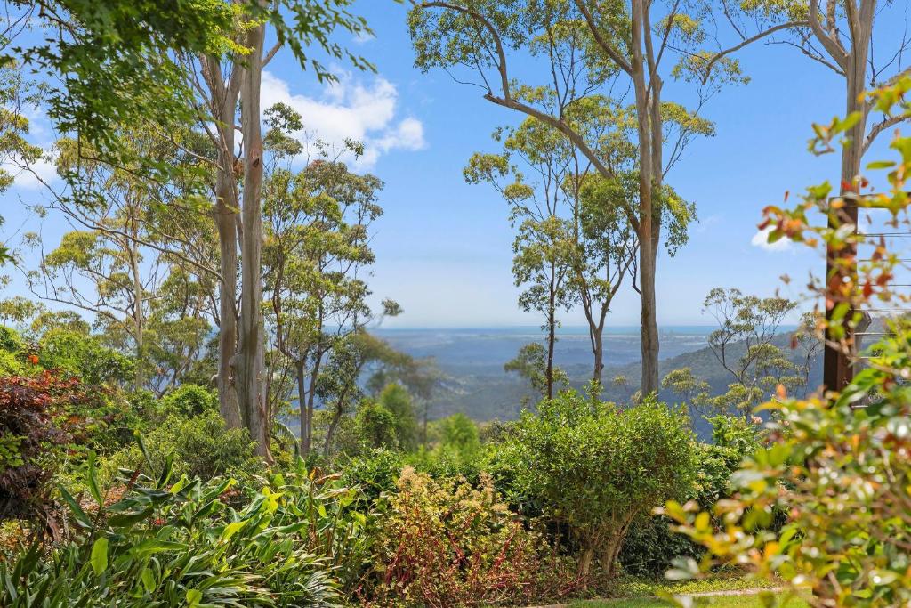 a view of the forest from the top at Tamborine Mountain Lodge in Mount Tamborine