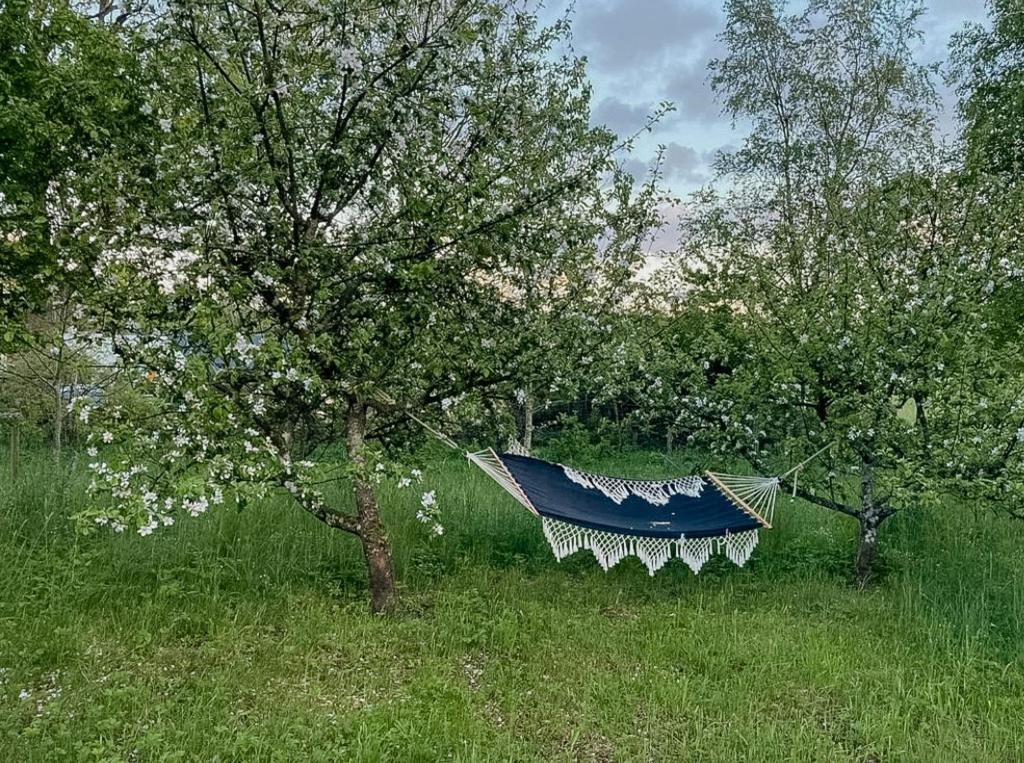 una hamaca colgando de un árbol en un campo en Framed Structure With Annexes In Österlen, en Brösarp