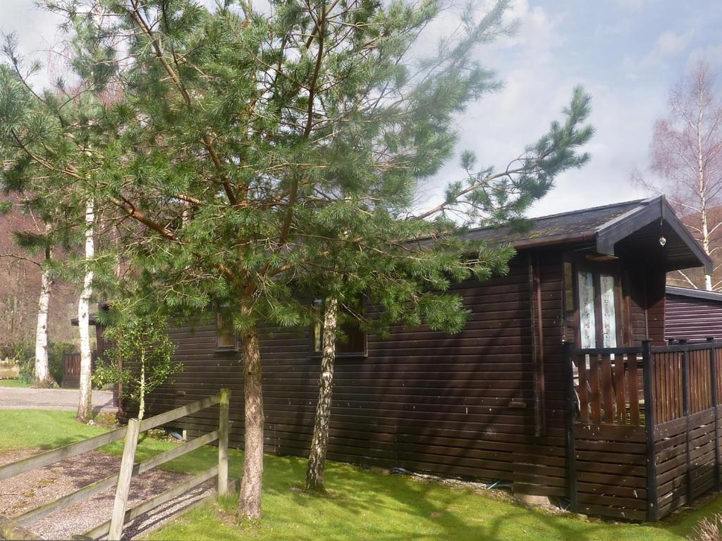 a log cabin with a tree in front of it at Acorn Lodge - Burnside Park in Keswick