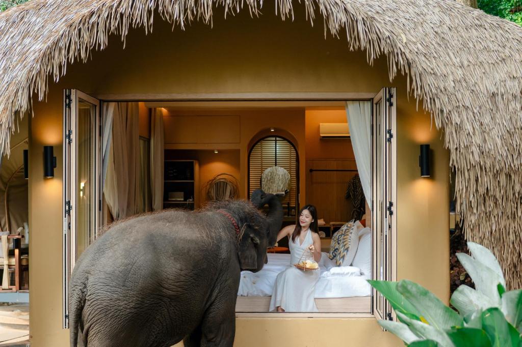 an elephant standing in front of a woman at Lazula in Ban Pok Nai