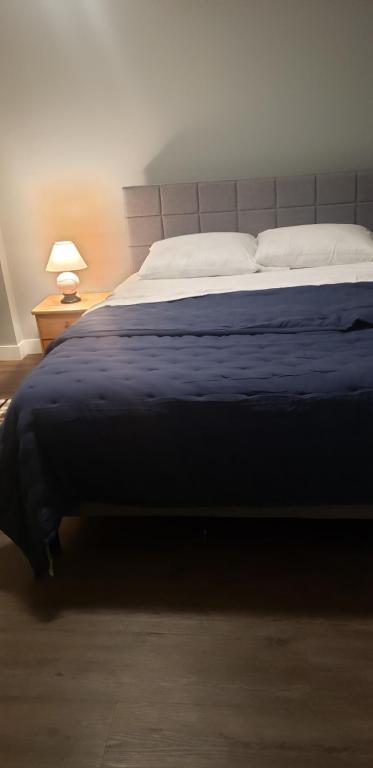 a bedroom with a large bed with a blue blanket at Room to stay in Lethbridge
