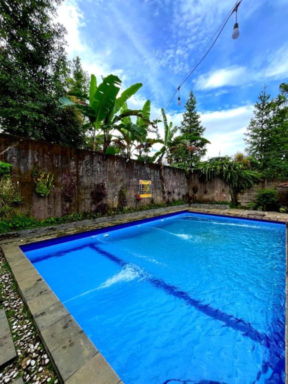 a large blue swimming pool in a yard at Villa Kayu Danke in Ciguntur