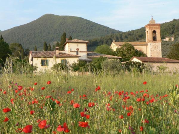 a field of red flowers in front of a building at La Palombaia in Spoleto