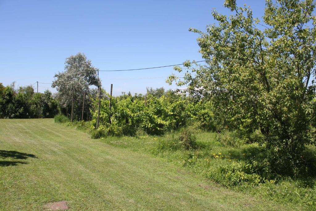 Tenuta Lio Maggiore - Housity