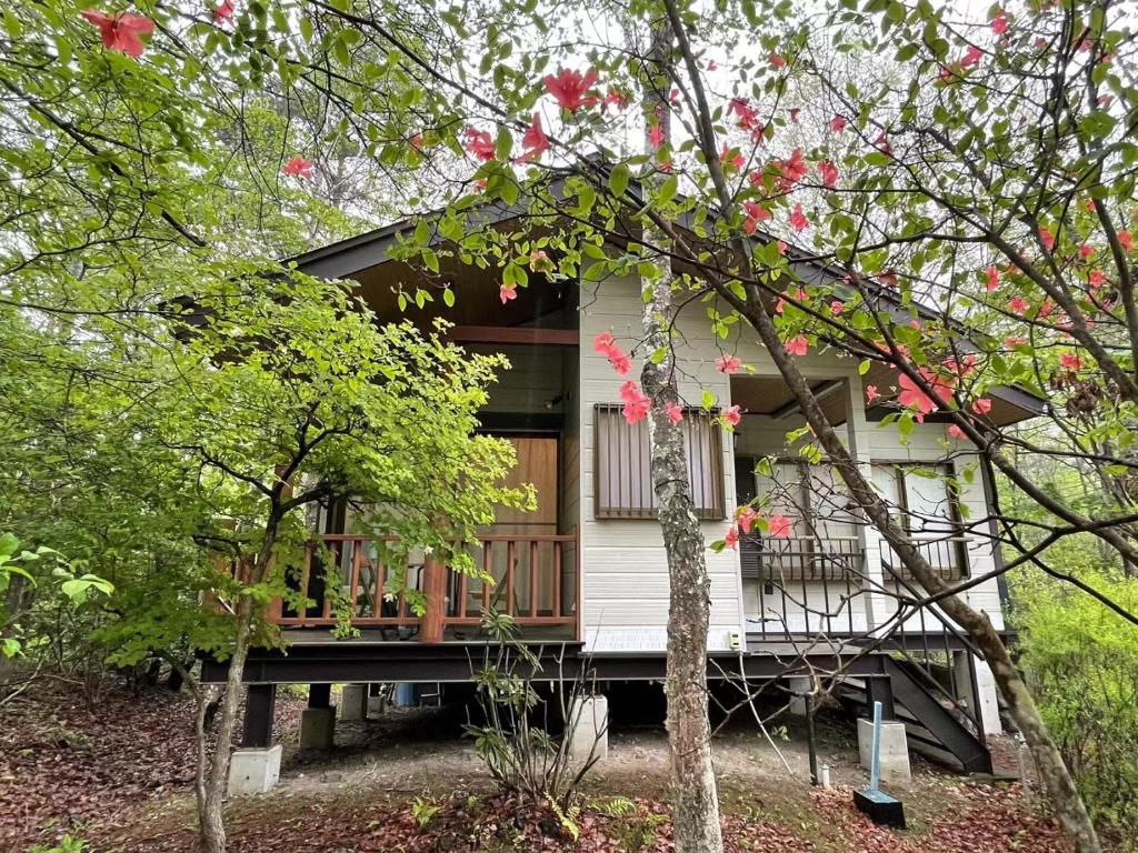 a small white house with a porch and trees at 花の街660 Tsumagoi Private House with Parking & BBQ in Tsumagoi