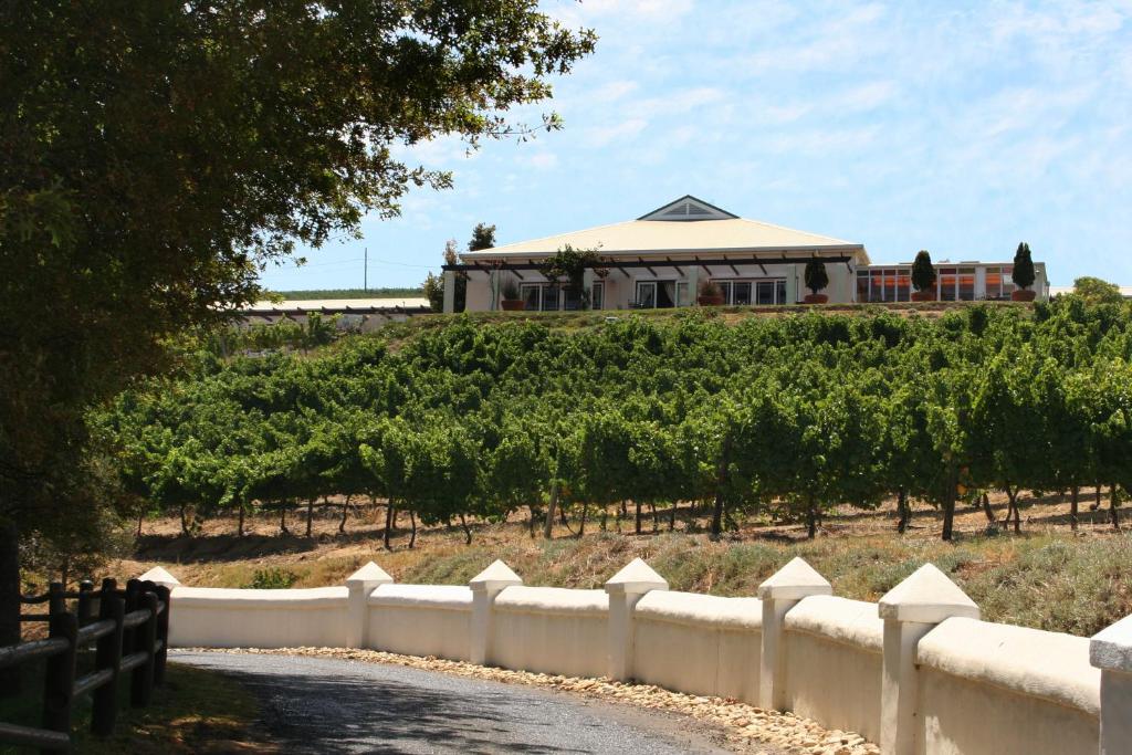 a house on top of a hill with a vineyard at Zevenwacht Country Inn in Kuilsrivier