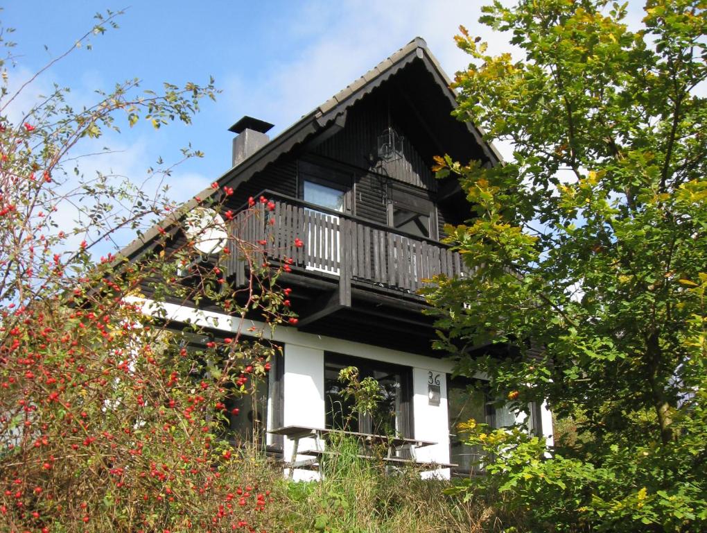 una casa con balcón en medio de árboles en Frankenau 36, en Frankenau