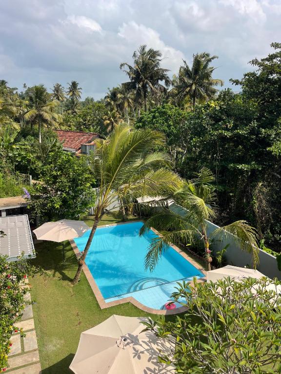 an outdoor swimming pool with umbrellas and palm trees at URALSURF HOUSE in Weligama