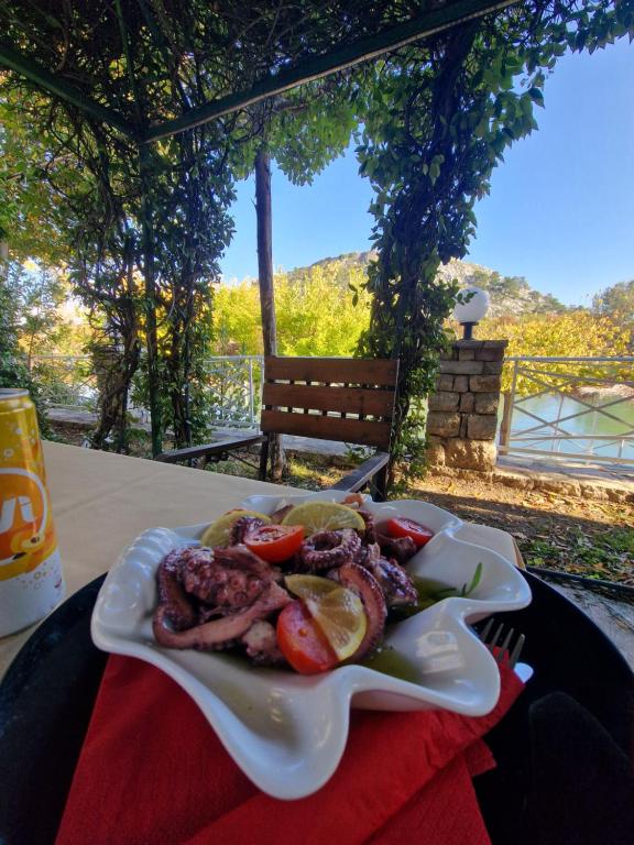 Příroda nedaleko apartmánu