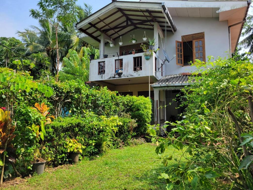 Κήπος έξω από το Green House No 02