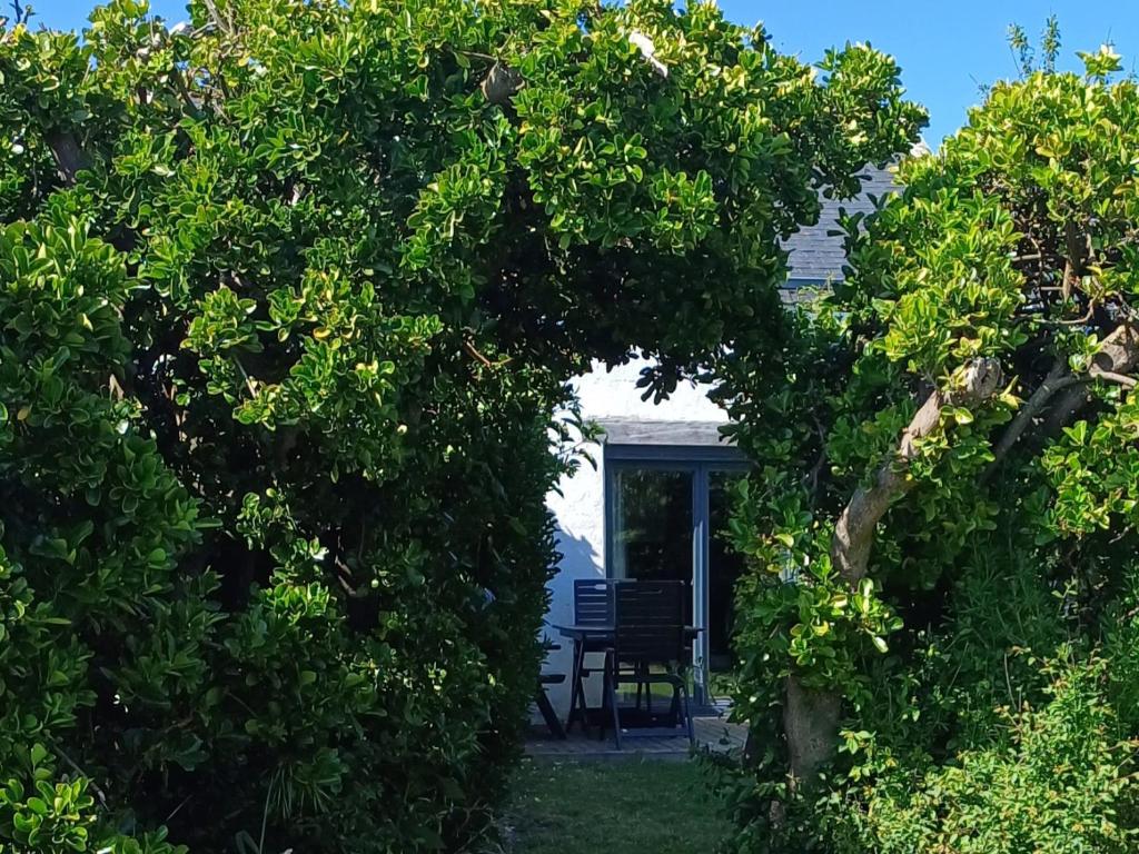 Zahrada ubytování 4. Ty gevred à 500m de l'océan