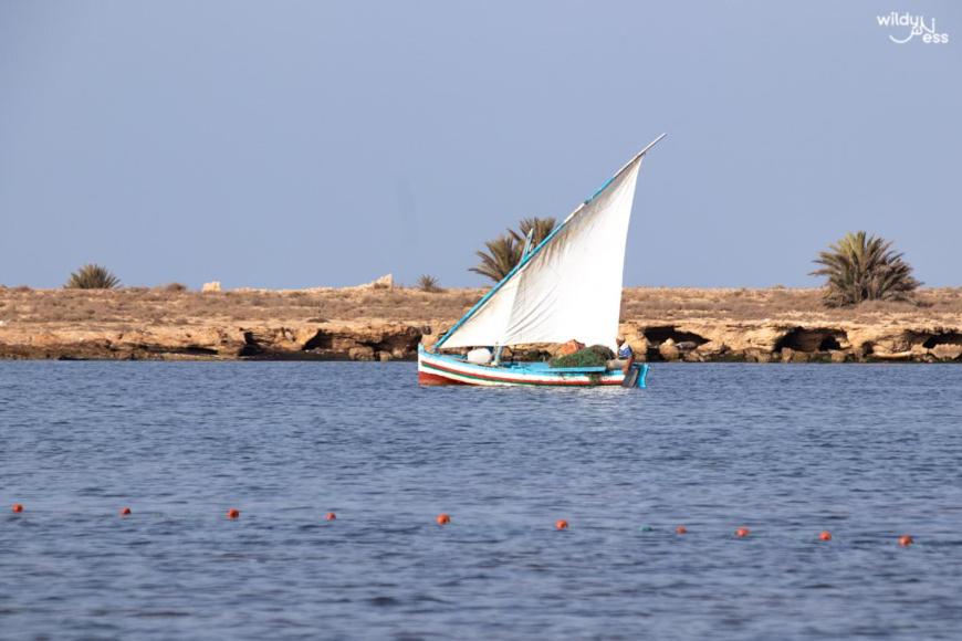 a boat with a white sail in the water at trip to djerba in Djerba