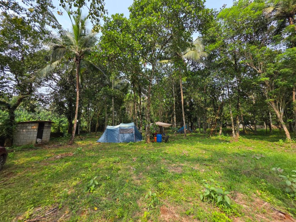 een tent midden in een veld met bomen bij The Kadu in Tāzhekkod