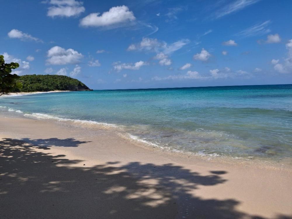 a beach with a shadow of a tree on the beach at Pacifique un Bungalow charmant pour deux, entre mer et nature in Saint-Louis