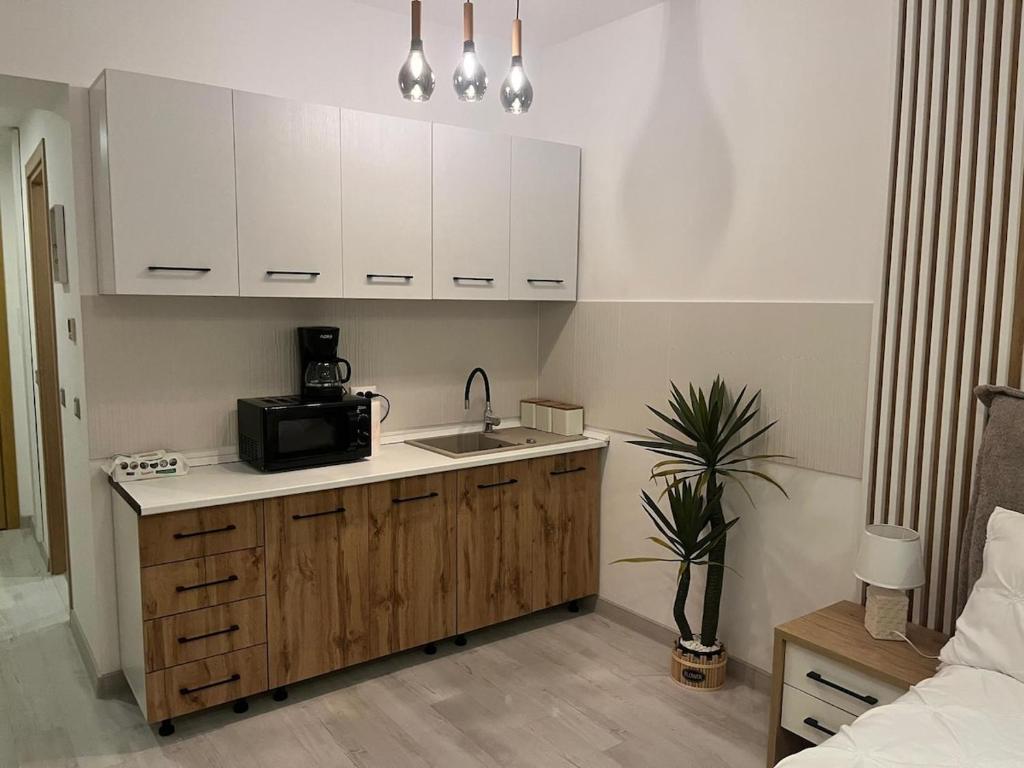a kitchen with a sink and a microwave at INNA Studio Rin Residence in Bucharest
