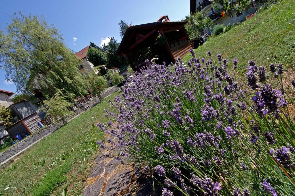 Zahrada ubytování Apartment house Lalita