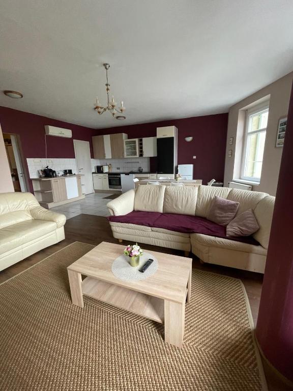 a living room with a couch and a coffee table at Aqua Apartman in Pécs