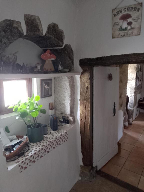 a room with a door and a plant on a shelf at Bed and Cèpes in Busserolles