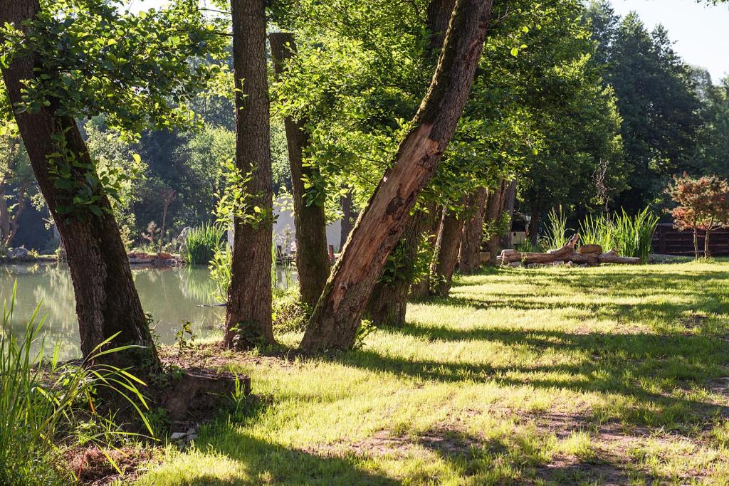 Φωτογραφία από το άλμπουμ του Rustikálna chalúpka pri jazere σε Ľuborča