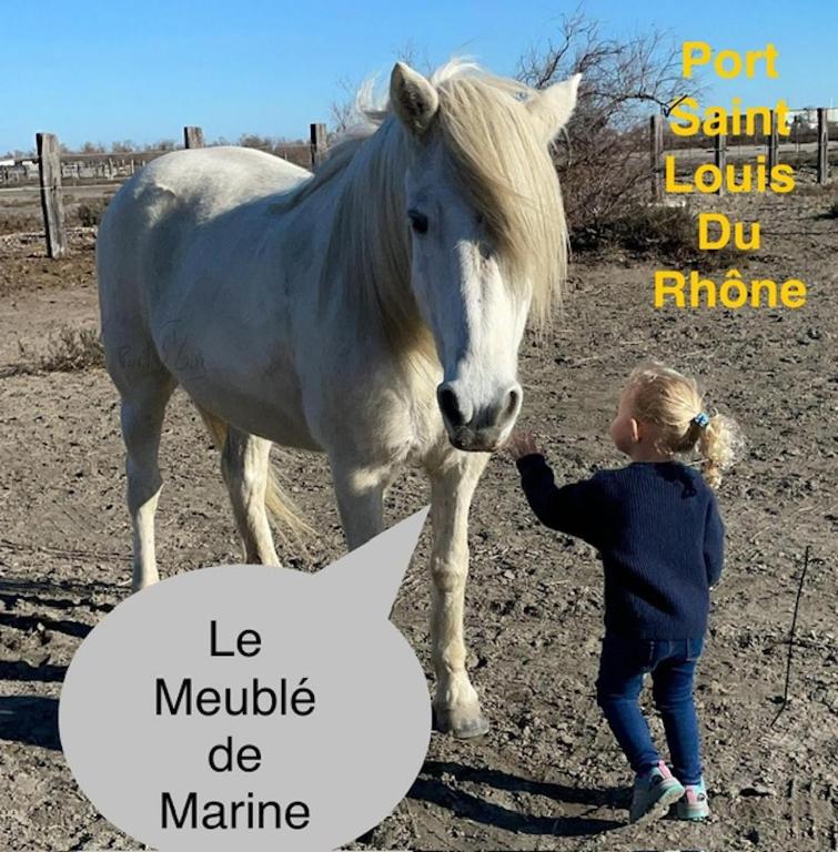 a little girl petting a white horse in a field at Le Meublé de marine in Port-Saint-Louis-du-Rhône