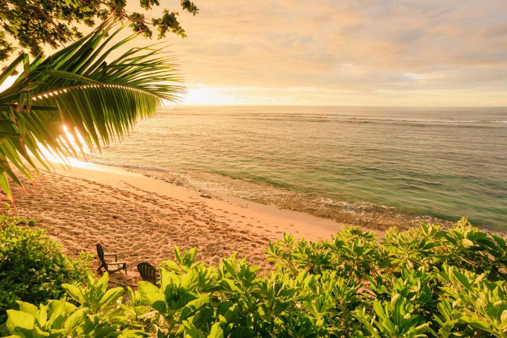 a beach with a palm tree and the ocean at The Emerald Surf House I home in Waialua