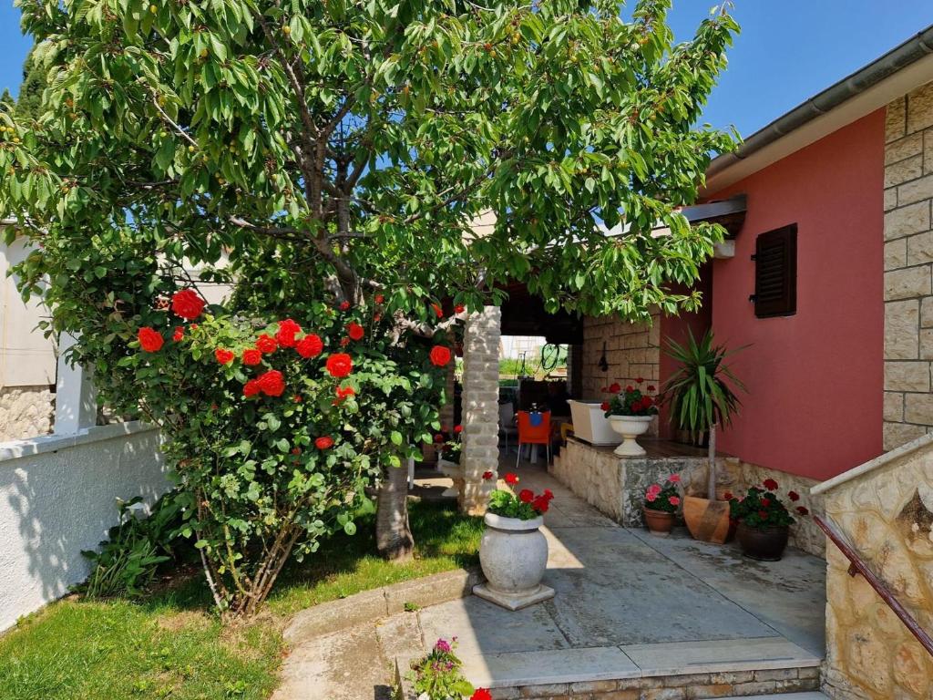 Apartments and rooms with parking space Premantura, Medulin - 24363