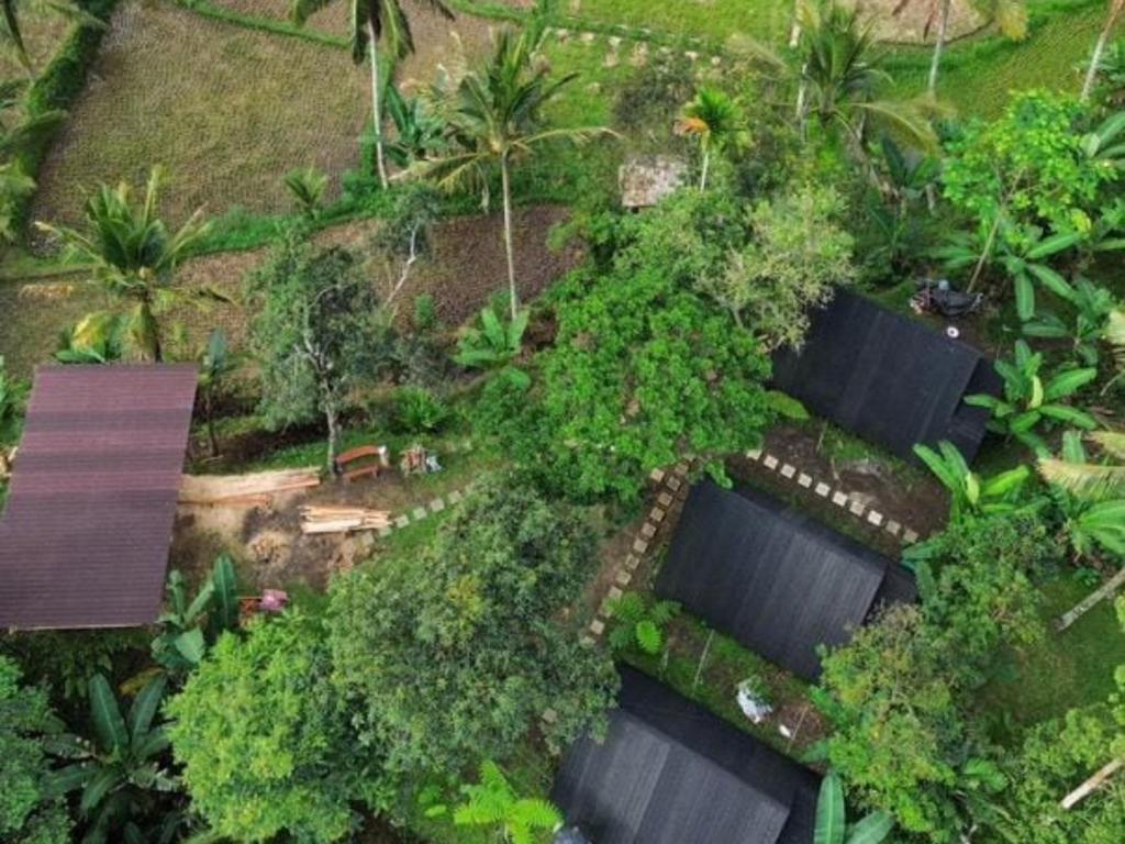 Een tuin van Forest Side Bungalow