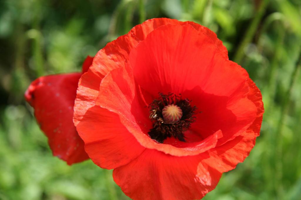 Galeriebild der Unterkunft Bed & Breakfast De Oude Molensteen in Eelde-Paterswolde