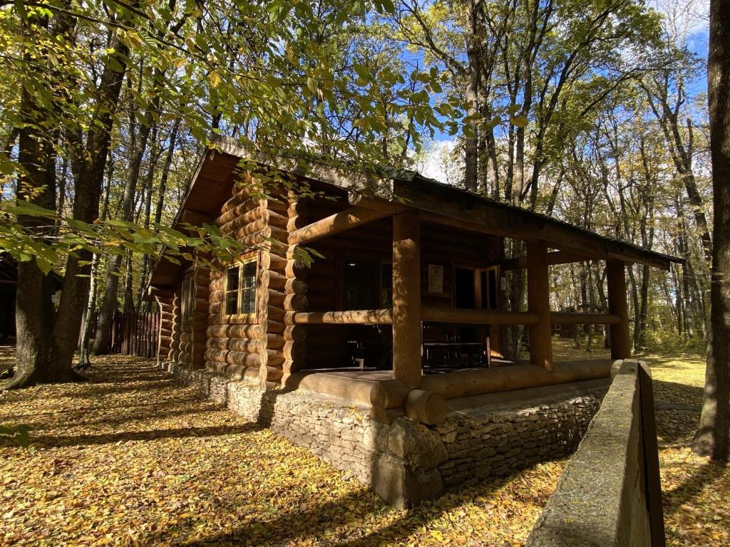 a log cabin in the woods with trees at Hotel Doi Haiduci in Orhei