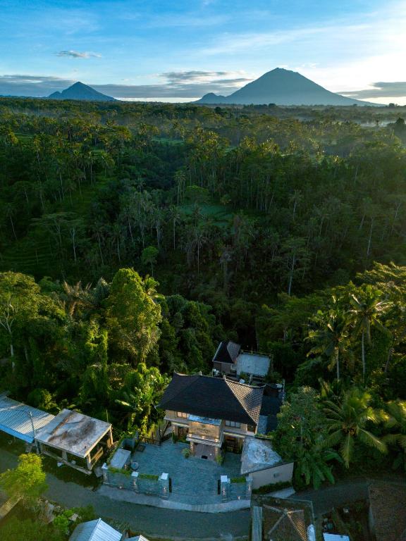an aerial view of a house in a forest at Ellena Resort Tegallalang by Dhananjaya Hospitality in Tampaksiring